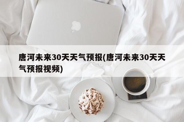 唐河未来30天天气预报(唐河未来30天天气预报视频)