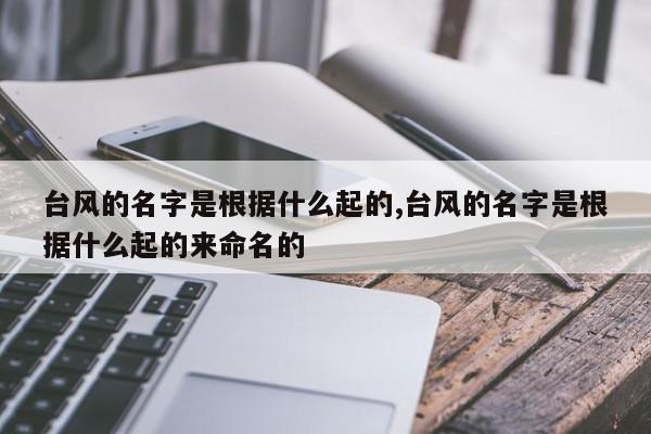 台风的名字是根据什么起的,台风的名字是根据什么起的来命名的