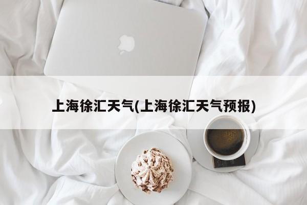 上海徐汇天气(上海徐汇天气预报)
