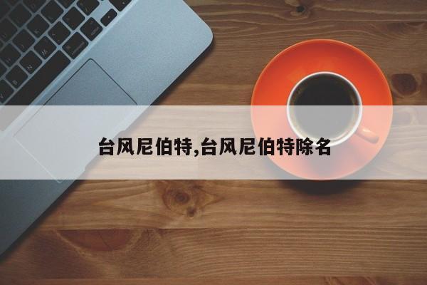 台风尼伯特,台风尼伯特除名