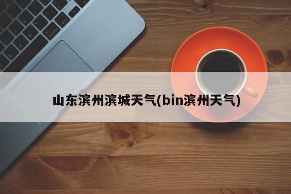 山东滨州滨城天气(bin滨州天气)