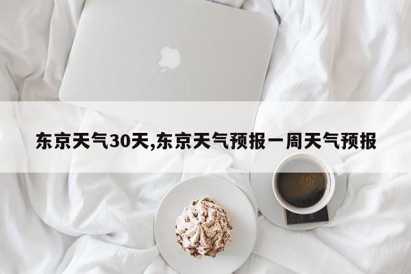东京天气30天,东京天气预报一周天气预报