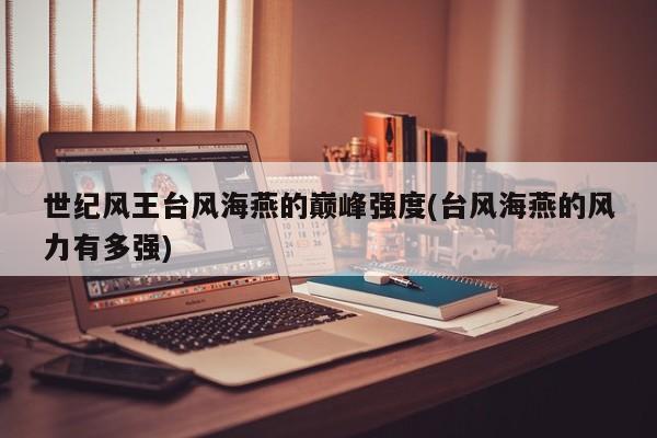 世纪风王台风海燕的巅峰强度(台风海燕的风力有多强)
