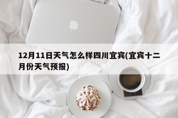 12月11日天气怎么样四川宜宾(宜宾十二月份天气预报)