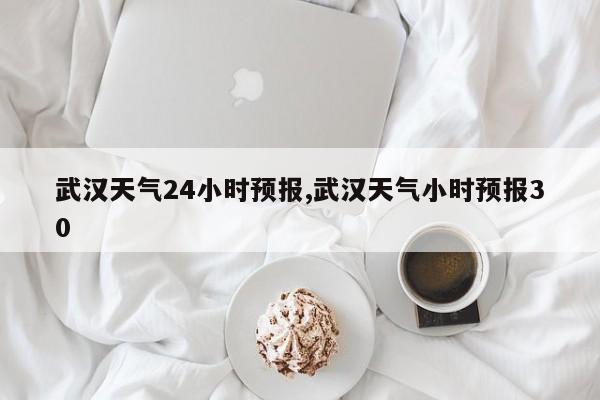 武汉天气24小时预报,武汉天气小时预报30